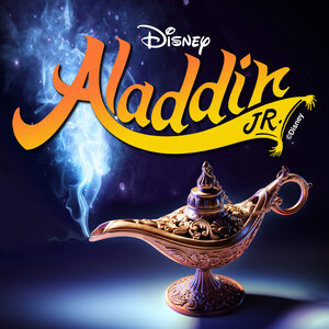 aladdin_jr_300 aladdin_jr_300